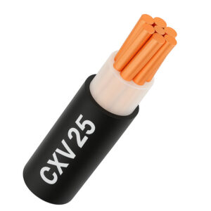 Dây cáp điện 1 lõi Cadivi CXV 25 mm2