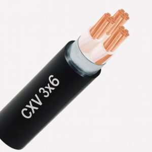 Dây cáp điện 3 lõi Cadivi CXV 3x6 mm2