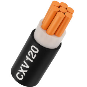 Dây cáp điện 1 lõi Cadivi CXV 240 mm2