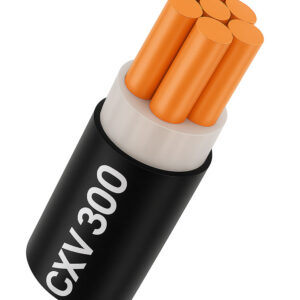Dây cáp điện 1 lõi Cadivi CXV 300 mm2