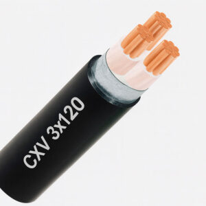 Dây cáp điện 3 lõi Cadivi CXV 3x120 mm2