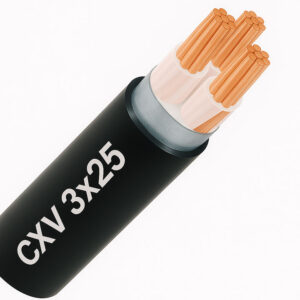 Dây cáp điện 3 lõi Cadivi CXV 3x25 mm2