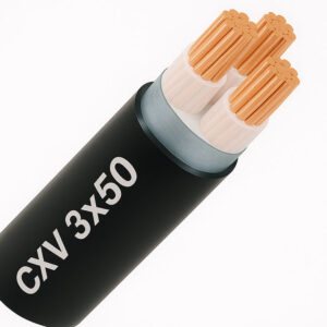 Dây cáp điện 3 lõi Cadivi CXV 3x50 mm2